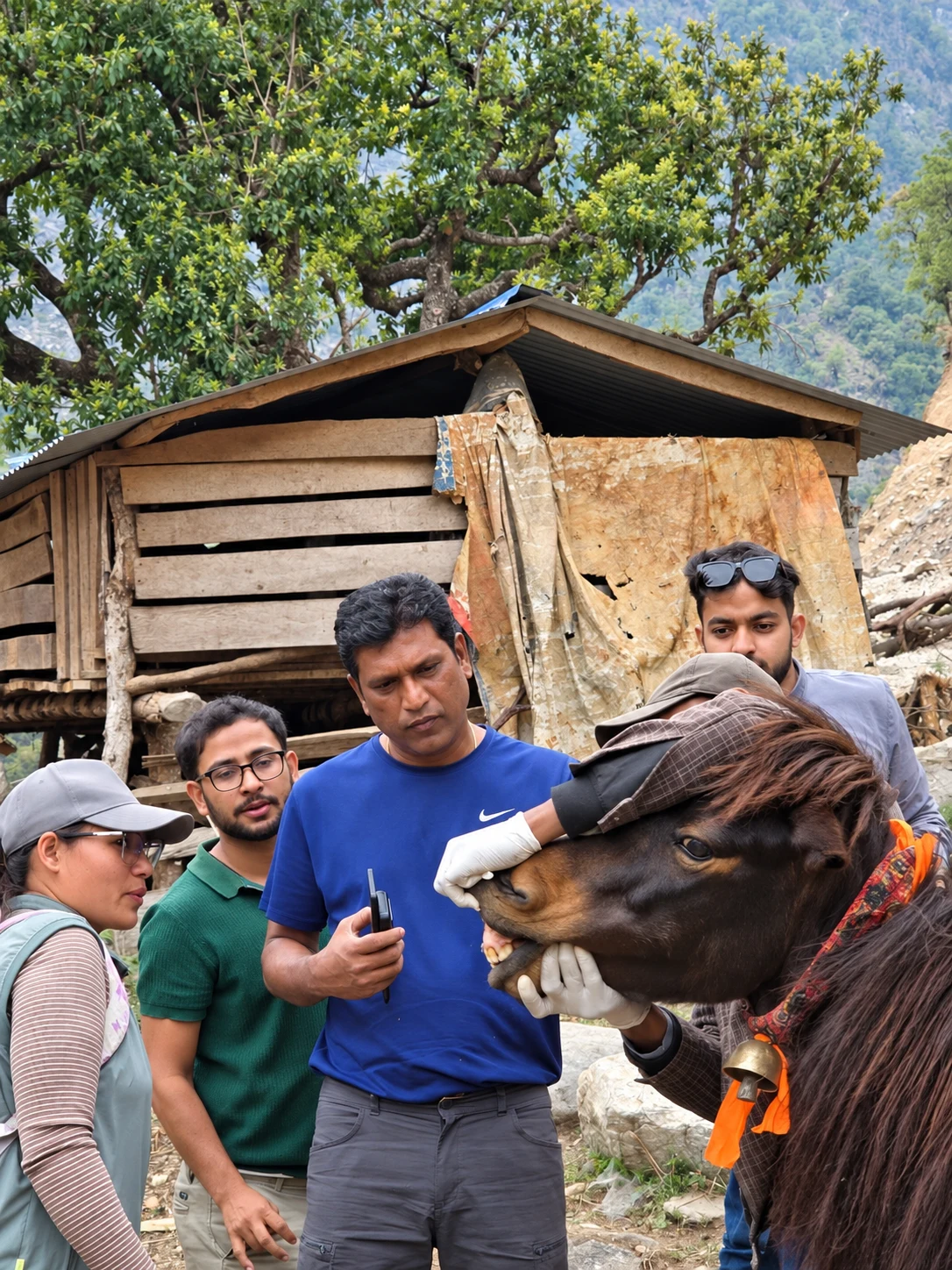 Participants watching a gloved practitioner demonstrate an equine mouth examination